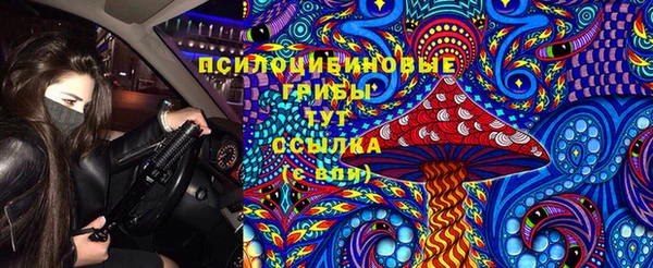 прущий лед Алексеевка